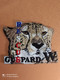 35 F RESCUE GUEPARD, PATCH AERONAVALE, SAUVETAGE HELICOPTERE - Aviazione