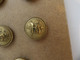RED STAR LINE : 24mm Brass Officer's Uniform Button - Decorazione Marittima