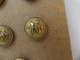 RED STAR LINE : 24mm Brass Officer's Uniform Button - Decoración Maritima