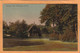 Sherwood Forest UK 1906 Postcard - Other & Unclassified