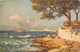 ART TABLEAU -  Nature De  E. ROBERT.  Bords De Mer, La Cote Sauvage - Robert