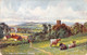 CPA Royaume Uni - Angleterre - Cheshire - Alderley Edge From Rostherne - S. Hildesheimer & Co. Ltd. - Oblitérée 1907 - Sonstige & Ohne Zuordnung