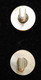 Autres Collections -  Boutons De Manchettes En Nacre - Botones De Cuello & De Puño