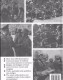 Delcampe - German Army Uniforms And Insignia 1933-1945, 228 Saiten Auf DVD, More That 460 Photos - Uniformes