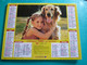 Calendrier Lavigne 1995  Tendresse Chien Golden  Cheval Enfant Almanach  Facteur Sarthe  PTT POSTE - Grand Format : 1991-00