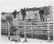 EAST BERLIN ,EXTENSION OF THE WALL IN THE NORTH OF BERLIN NEAR WILHELMERUH STATION PRESS PHOTO - Muro Di Berlino