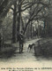 Carmaux * Une Allée Du Parc Du Château De La Verrerie , Au Marquie De Solages * Chasse Chasseur Chien Arbre - Carmaux