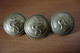 Lot De 3 Boutons T.W & W PARIS - [ Trelon-Weldon-Weil ] 1844  - 1855 - Boutons