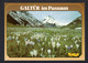 Autriche - Krokusblüte In GALTÜR Im PAZNAUN, Mit Ballunspitze , Tirol ( N° 838) Vue Lointaine Du Village - Galtür