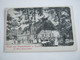 FRANKENBOSTEL Bei Zeven , Gasthof    ,  Schöne   Karte Um 1910 ,               2 Abbildungen - Zeven