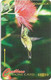 Dominica - C&W (GPT) - Humming Bird - 230CDMB - 1998, 15.000ex, Used - Dominica