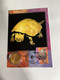 (4 M 47) Australia - Dinosaur (Ancient Australia Wildlife) 1997 Maxicard With 2022 Dinosaur $ 1.00 Coin - Dollar