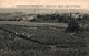 VENDANGE EN CHAMPAGNE PANORAMA D'UN VIGNOBLE PENDANT LES VENDANGES - Champagne-Ardenne