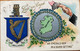 IRELAND 1910, NICE SILVER POSTCARD, MAP,  KING EDWARD STAMP ,DUBLIN CITY CANCEL - Briefe U. Dokumente