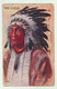 RED CLOUD   ILLUSTRATA PETERSON 1918  GOFFRATA - VIAGGIATA FP - Indios De América Del Norte