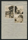JAPAN WWII Military Horse Picture Letter Sheet South China Japanese Soldier Photos China Chine Japon Gippone WW2 - 1943-45 Shanghai & Nankin