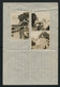 JAPAN WWII Military Horse Picture Letter Sheet South China Japanese Soldier Photos China Chine Japon Gippone WW2 - 1943-45 Shanghai & Nanjing