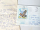 №58 Traveled Envelope Brid And Letter Cyrillic Manuscript Bulgaria 1980 - Local Mail, Stamp - Covers & Documents
