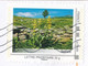 France-IDTimbres - Gentiane - YT IDT 7 Sur Lettre Du 19-10-2012 - Briefe U. Dokumente