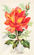 BONNE FETE MAMAN - S04645 - Fleurs - Roses - L1 - Día De La Madre