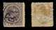 Fernando Poo 1896-00 Alfonso XIII.tipo C.5ct S 6ct.MH.Edifil.40 C. - Fernando Po