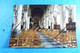 Ruiselede Kerk Middenbeuk Met Zicht Op Altaar En Preekstoel GO.L.V.  Hemelopneming 2 X Foto Privaat Opname 1980 Prive, - Ruiselede
