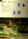 Delcampe - Cina Touris Guide  Of Huguangyan Geologic Park - Collections, Lots & Series