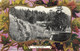 Canada, St. JOHN, New Brunswick, Pool In Rockwood Park (1905) Postcard - St. John