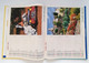 Calendrier La Poste - Almanach PTT 1996 - Seine Maritime - Grand Format : 1991-00