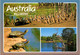 ( 1 N 28) Australia - Goose Bird + Swan + Turtles - Tortues
