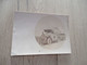 Carte Photo Militaria Recoupée 1915 Guerre 14/18 Convois Automobiles T.M.182 Autographe Au Dos Soldat Blachère Camion - Weltkrieg 1914-18