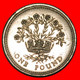 * FLAX (1986-1991): GREAT BRITAIN ★ 1 POUND 1986 UNCOMMON! LOW START ★ NO RESERVE! - 1 Pond