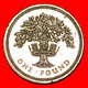 * OAK (1987-1992): GREAT BRITAIN ★ 1 POUND 1987! LOW START ★ NO RESERVE! - 1 Pond