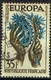 FR VAR 62 - FRANCE N° 1123 Obl. Variété Légendes Défectueuses - Used Stamps