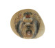 Yorkshire Terrier Hand Painted On A Smooth Beach Stone Paperweight - Tiere