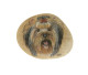 Yorkshire Terrier Hand Painted On A Smooth Beach Stone Paperweight - Fermacarte