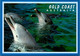 ( 1 N 35) Australia - Gold Coast Dolphin - Dauphins