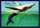 ( 1 N 35) Australia - Byron Bay Whale - Dauphins