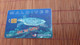 Maldives Phonecard Card Has Some Mark Of Use Look Scan For Quality Not Perfect  Used Rare - Maldives