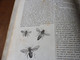 1839  Les Abeilles (Ruche, Reine, Cire Et Miel, Essaim, Ennemis Des Abeilles, Miel Vénéneux, Etc); JAVA Et Théâtres; Etc - 1800 - 1849