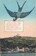 AK Maria Taferl Swallow Bird & Panorama - Maria Taferl