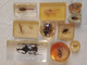 Résine Inclusion 10 Insecte Amphibien La Grande Fait 5,5x6x12cm Boule Pendentif. - Andere & Zonder Classificatie