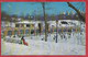 US.-SKATING RINK IN CENTRAL PARK. NEW YORK CITY. - Parcs & Jardins