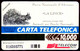 G 444 C&C 2495 SCHEDA TELEFONICA NUOVA MAGNETIZZATA ANIMALI NEI PARCHI LINCE - Erreurs & Variétés