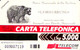 G 437 C&C 2488 SCHEDA NUOVA MAGNETIZZATA ANIMALI NEI PARCHI ORSO COME FOTO - [3] Fehlliste