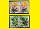 (°) ALBERTVILLE BELGIAN CONGO / CONGO BELGE CANCEL STUDY [F] WITH 2 PAIRS OF STAMPS TROPICAL FLOWERS - Plaatfouten En Curiosa