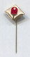 Table Tennis Tischtennis Ping Pong - China Federation Association, Vintage Pin  Badge Abzeichen - Tennis De Table