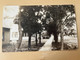 South Dakota Groton Residence Scene Real Photo RPPC - Other & Unclassified