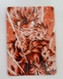 Carte Dragon Ball Z / DBZ / Fancard Custom PRISM HOLO MANGA Neuf N°49 - Dragonball Z