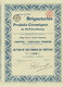 - Titre De 1899 - Briqueteries Et Produits Céramiques De St-Pétersbourg - - Russia